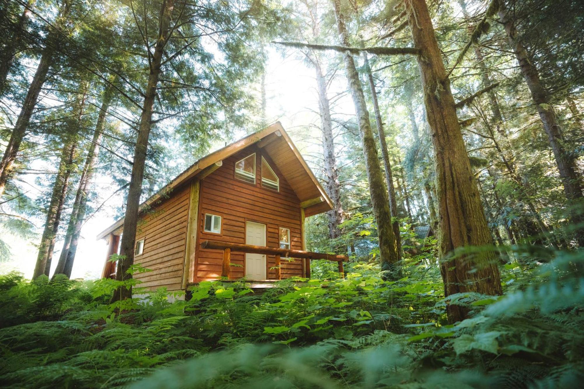 Bella Coola Grizzly Tours And Resort Hagensborg Exterior photo