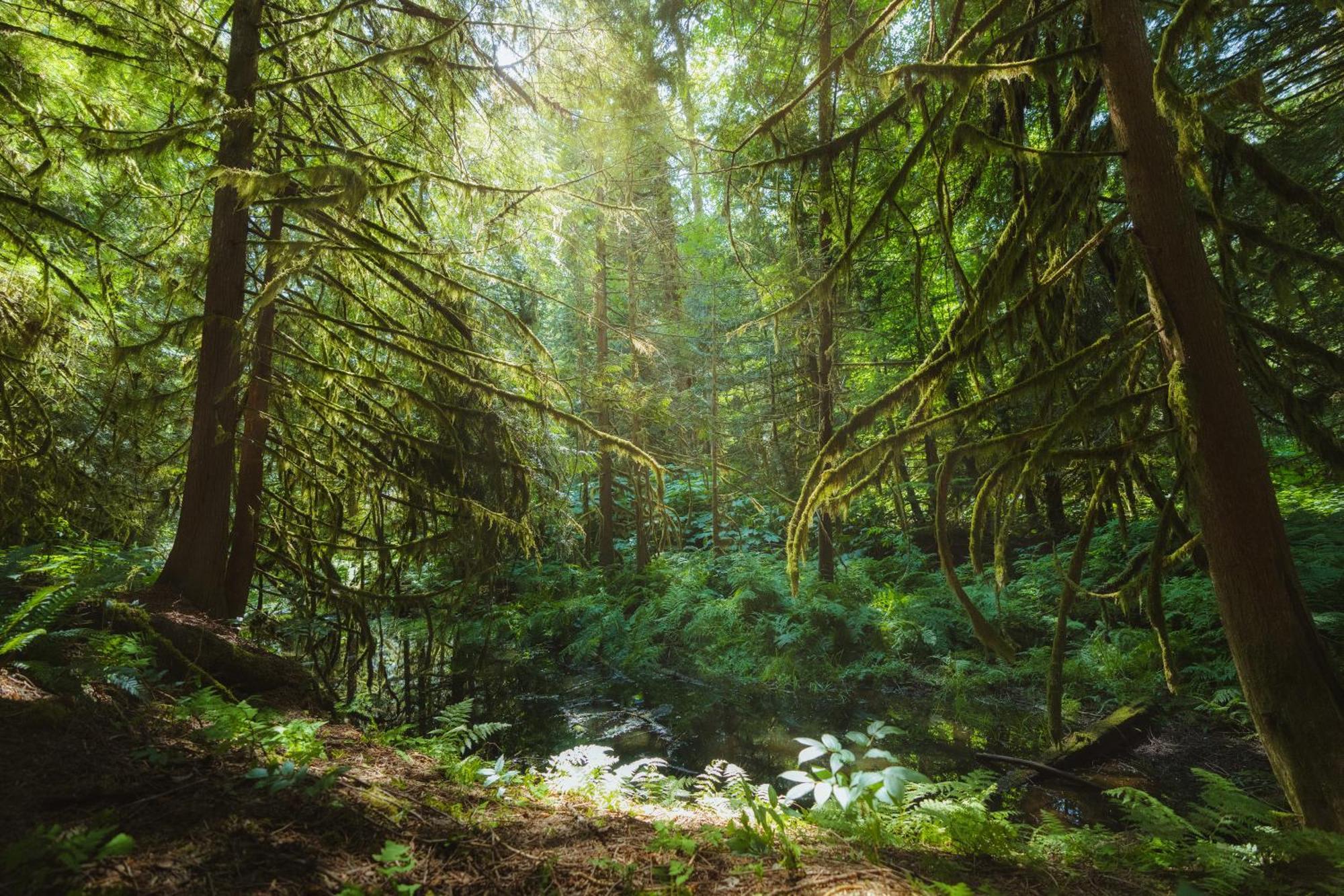 Bella Coola Grizzly Tours And Resort Hagensborg Exterior photo
